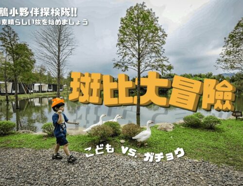 永續生態｜在大自然中找到最原始的快樂